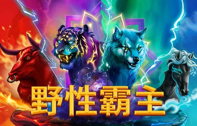 凤凰天机六和网